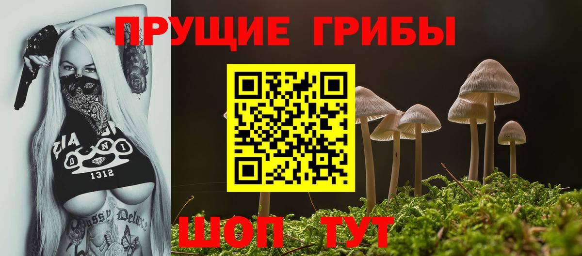 Галлюциногенные грибы GOLDEN TEACHER Вологда