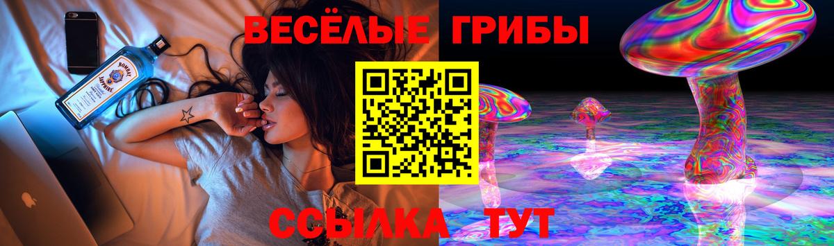 Галлюциногенные грибы мицелий  Галлюциногенные грибы GOLDEN TEACHER  Вологда  Вход с VPN 