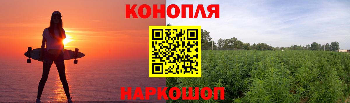 Марихуана план  Бошки Шишки гибрид  Вологда  Марихуана THC 21%  Вход с VPN 